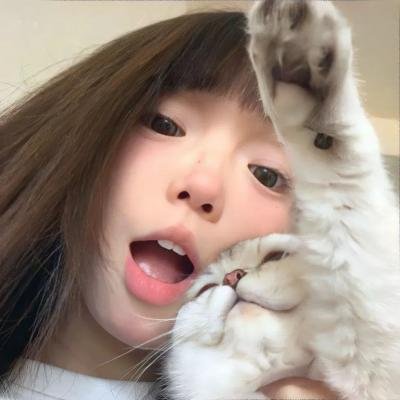 女神捕之迷局